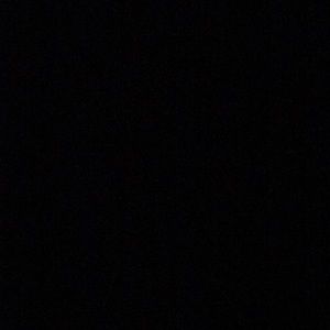 Meet your Posher, Lacey